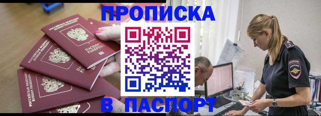 прописка поиск в Бердске